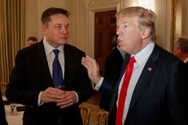 Donald Trump appoints Elon Musk to lead US government efficiency department